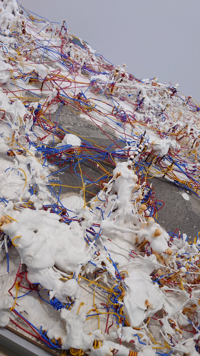 あさ＿＿す (@asasasuzz) on Twitter photo 