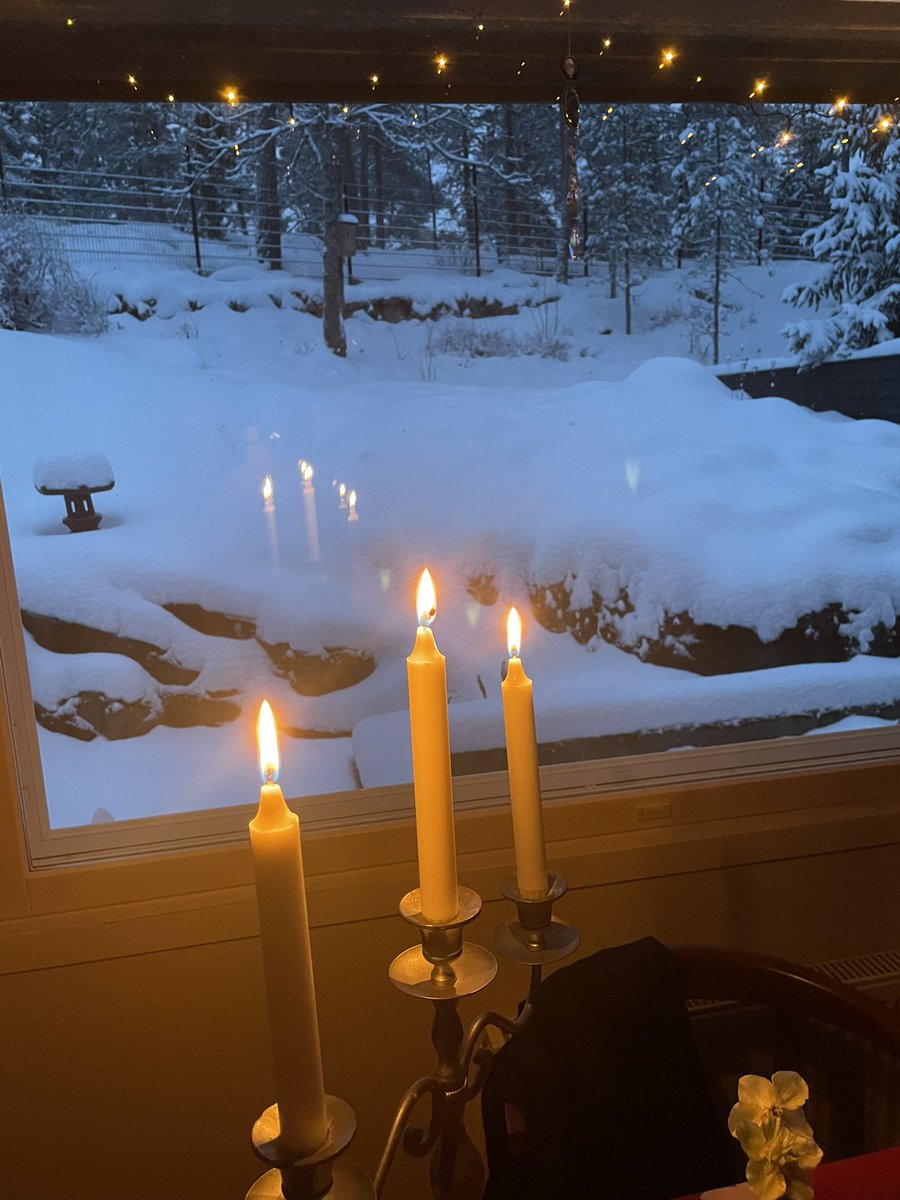 Mukavaa päivää🫶