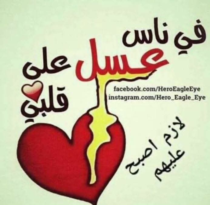 صباح اليقين بأن كل شيء بيد الله وحده 
صباحكم جنة تبشرون بها اصدقاءى
