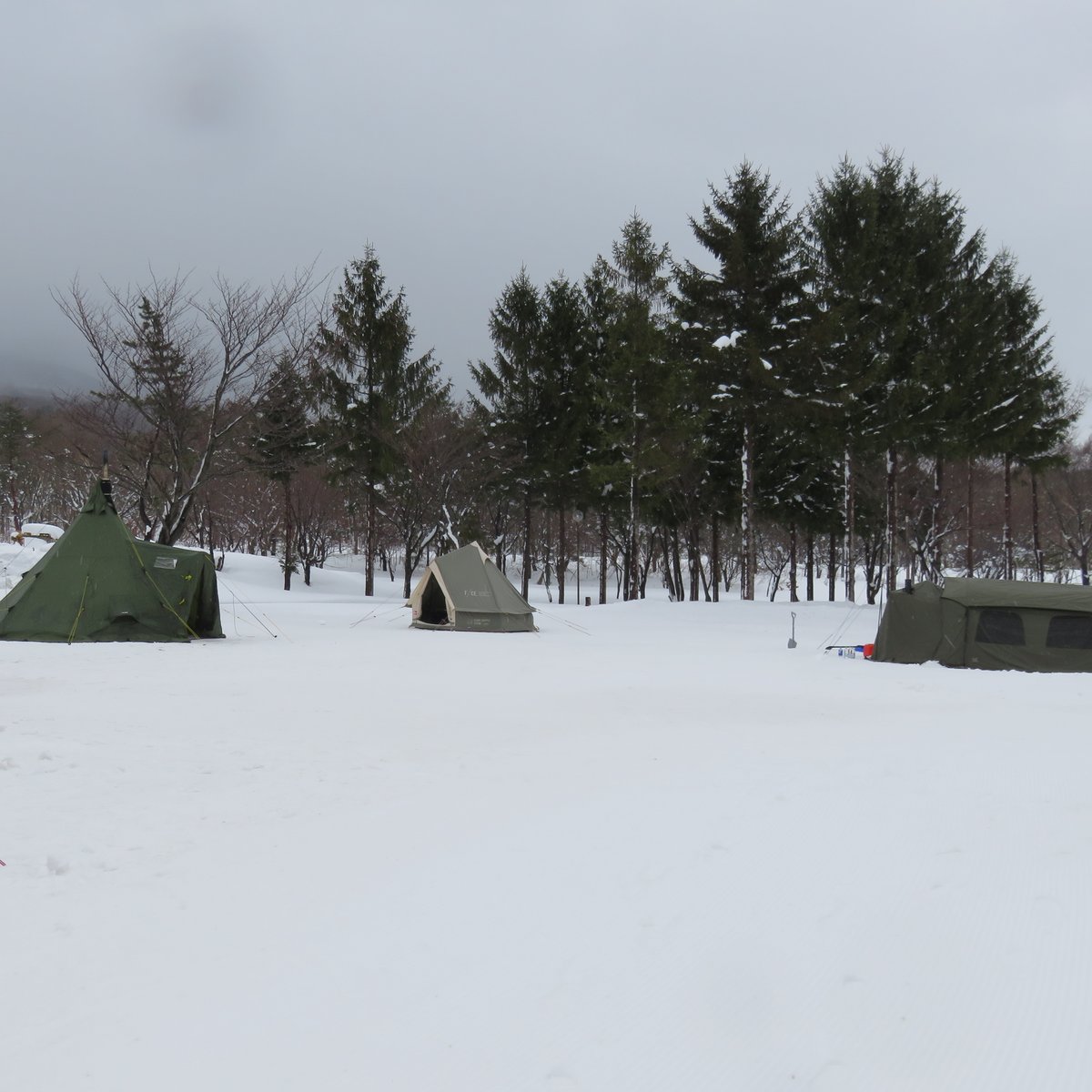 岩木青少年スポーツセンター tweet media