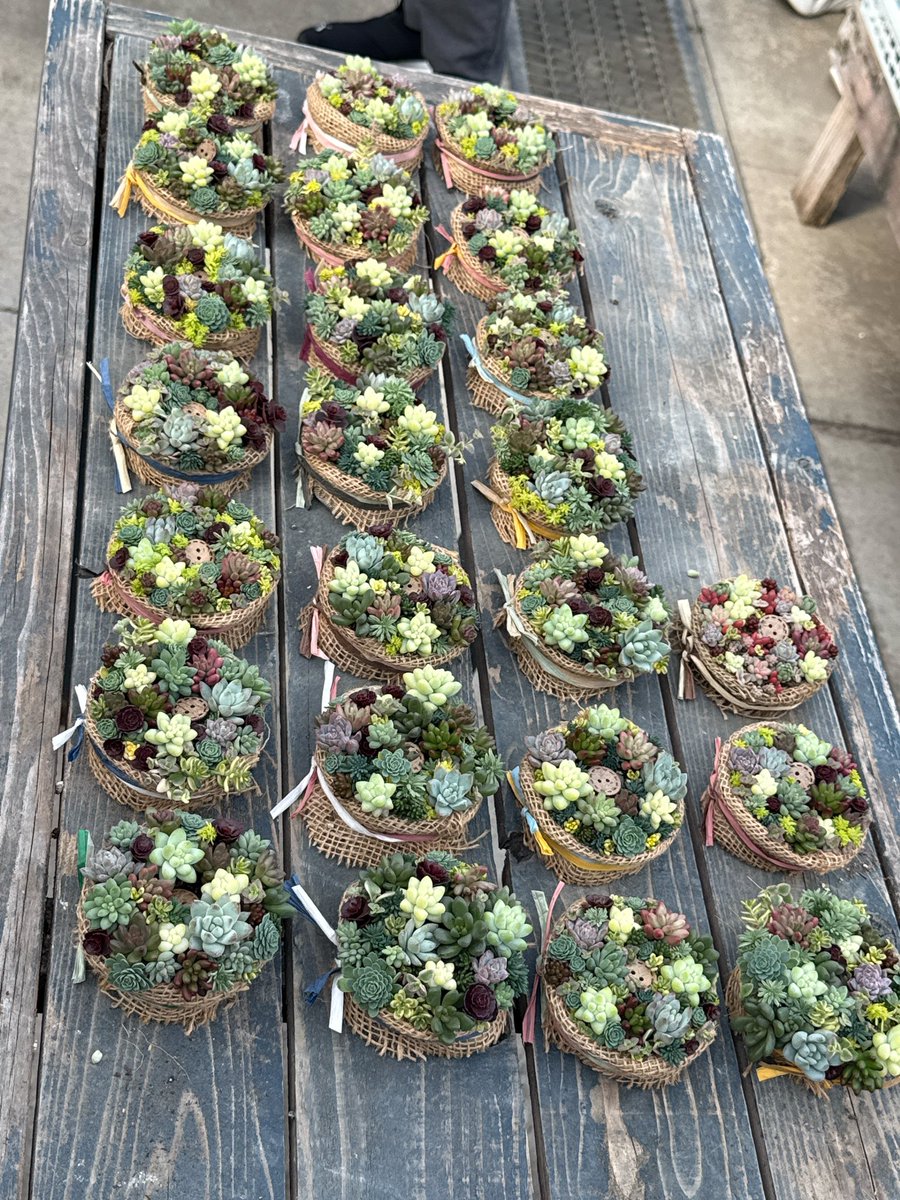 多肉の寄せ植え教室に参加🍃
他の人の倍速で完成させていくwww