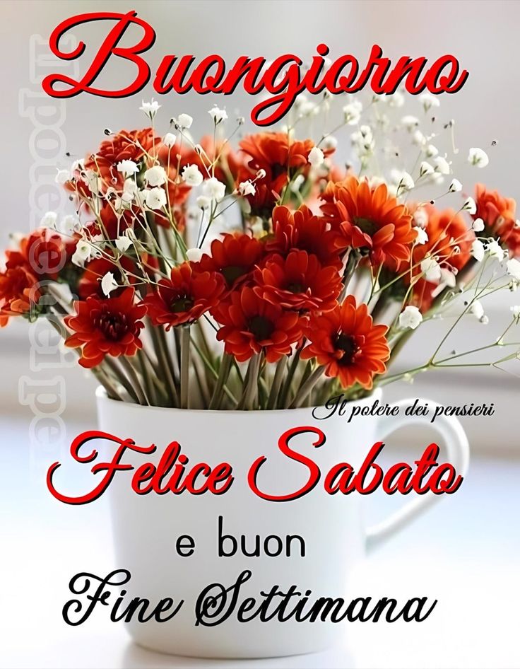 CappatoSimo's tweet image. Buona giornata di sabato a tutti. 😊☕️🥐🪷🌸🦋🪼