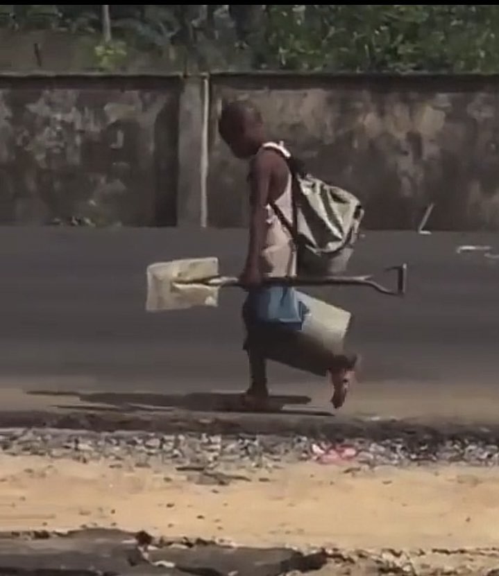 Eco 🇪🇺 tweet media