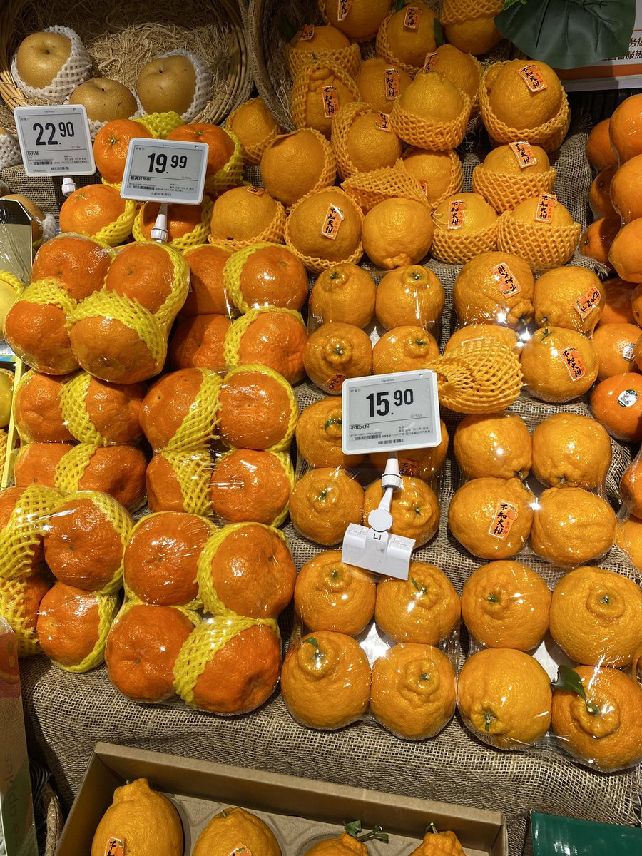 みかん(panther.6413509)様♡ありがとうございます♡ みかんのはちみつチューブボトル300g | 有田みかん・和歌山県産柑橘の