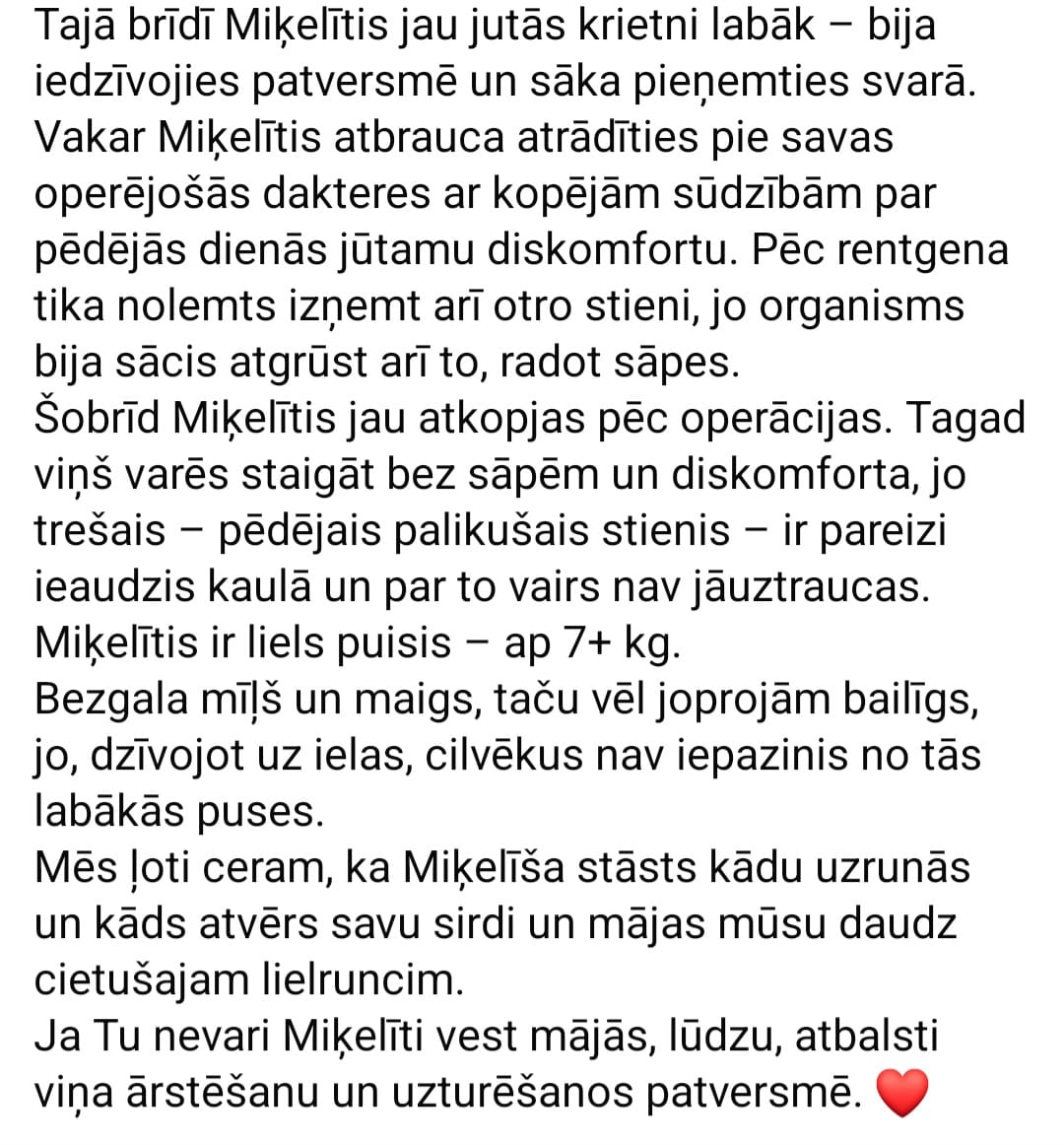 Lūdzam dalīties, lai pamana un atveras jaukas Mājas durvis un sirdis lielruncim Miķelim🙏🐾
ulubele.org/noteikumi-dziv…