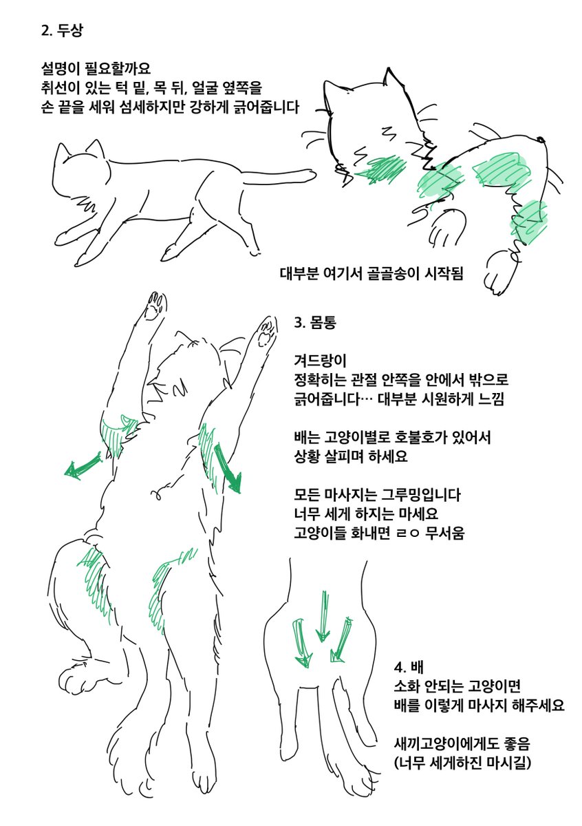 고양이 마사지 해주는 만화

늙은 고양이한테 해주면 장난감으로 놀아줄 때 백플립을 한다는 그 마사지

새끼 고양이한테 해주면 혈기가 싹 돈다는 그 마사지

길고양이한테 해주면 100m 밖에서도 나 마중 나온다는 그 마사지

저 사짜 아니고요 진짭니다