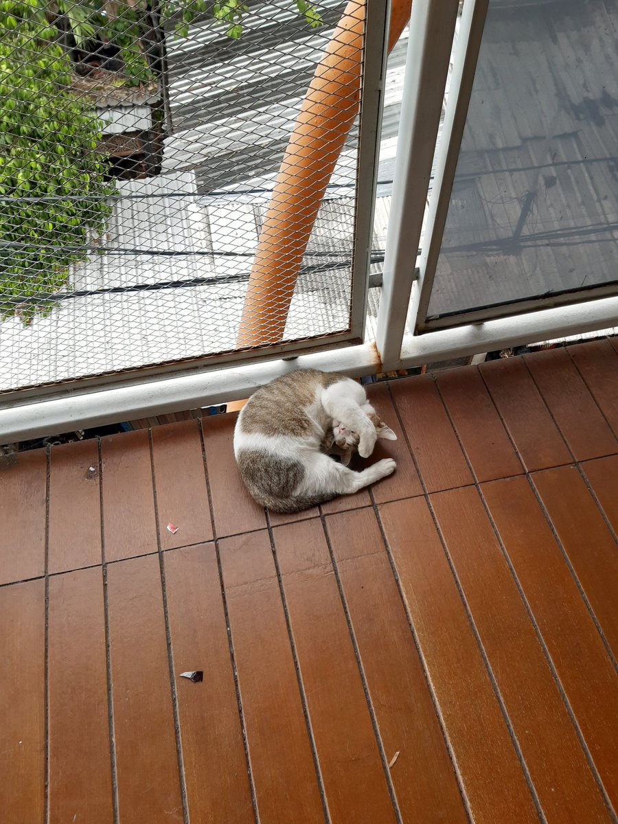 savaureen's tweet image. 😴💤