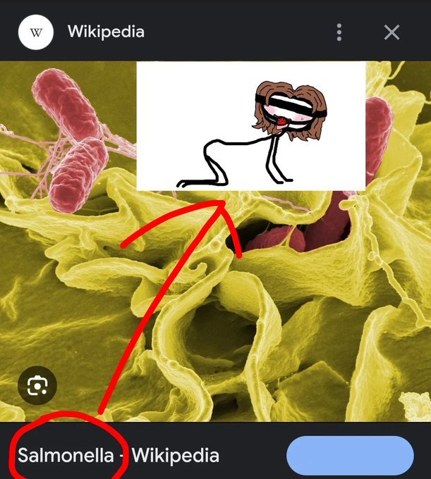 anne ✎ (@anneonella) on Twitter photo 