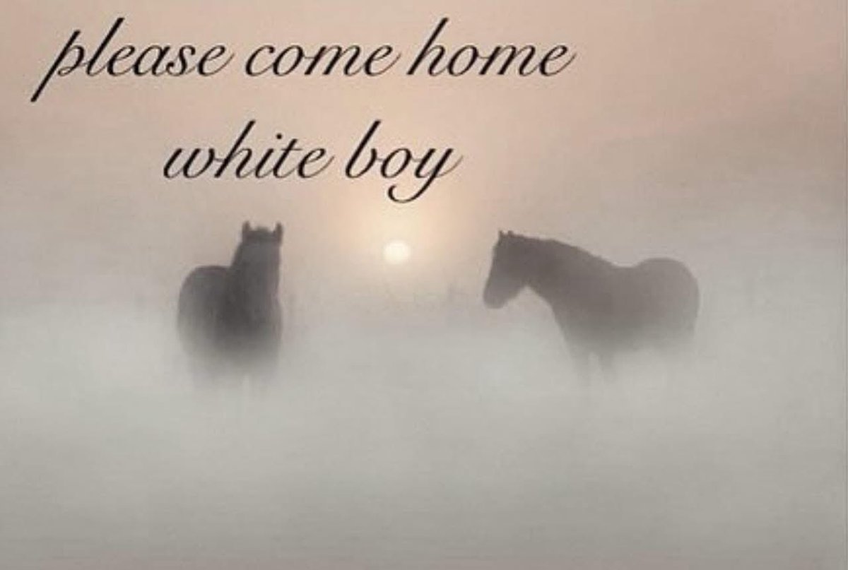 lysindapitt's tweet image. dennis sending this to robby during his sabbatical 
#canontome