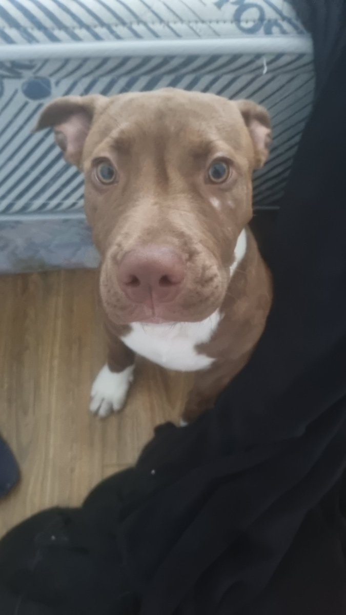 Its_chappy_Mate tweet media