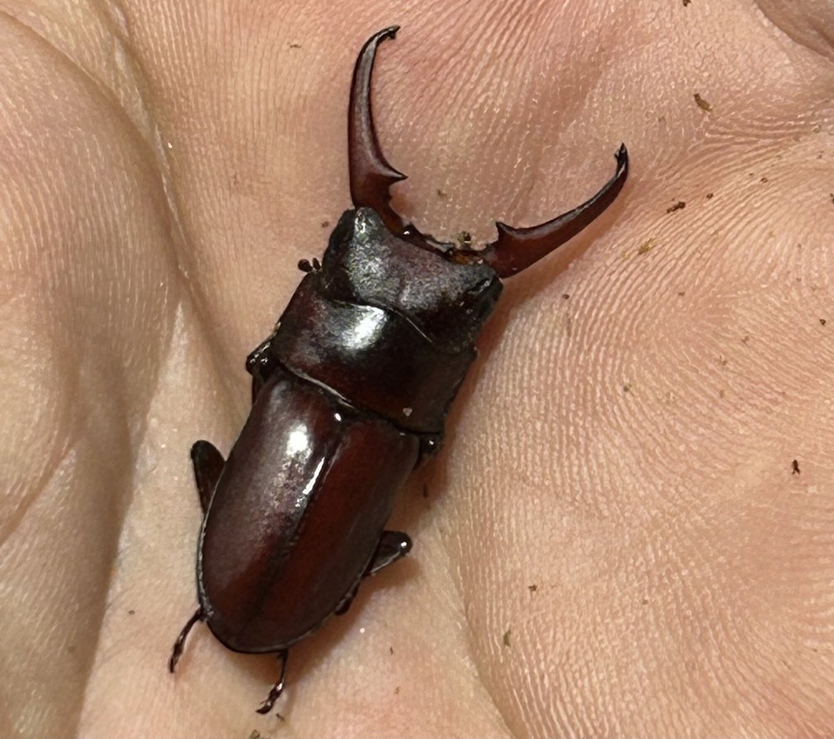 MGM (@KasaimgmMgm) / Posts / X