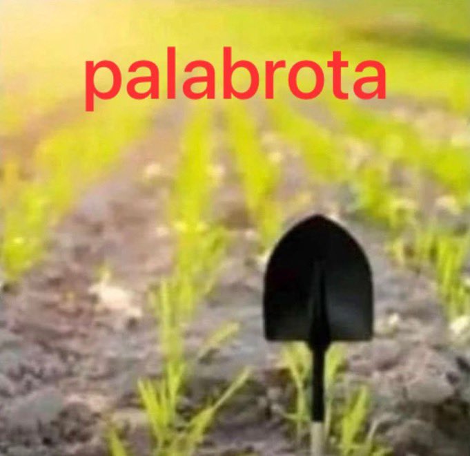 TorchOcean's tweet image. Se que es falso
Pero

Ahí esta mi estado