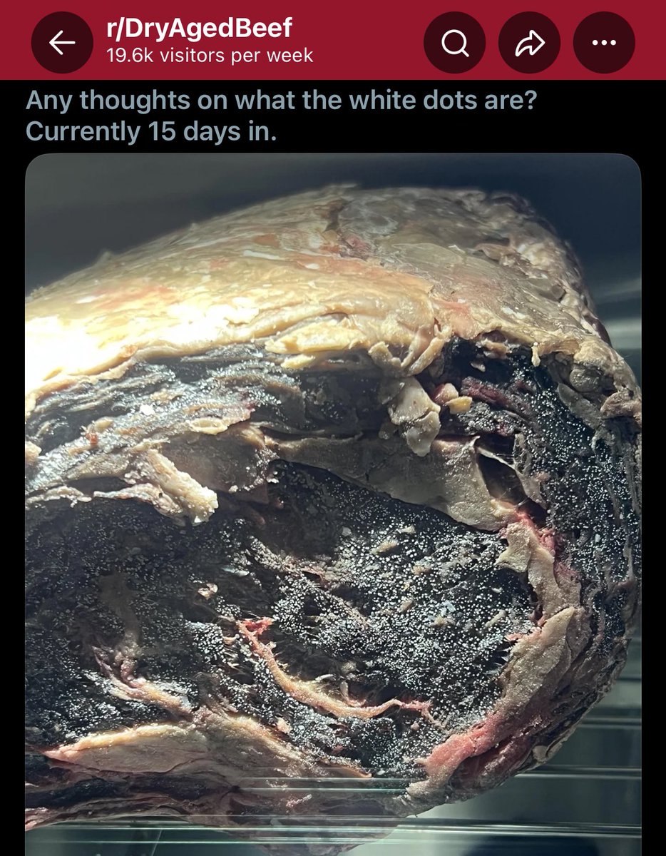 bro what tf do you think