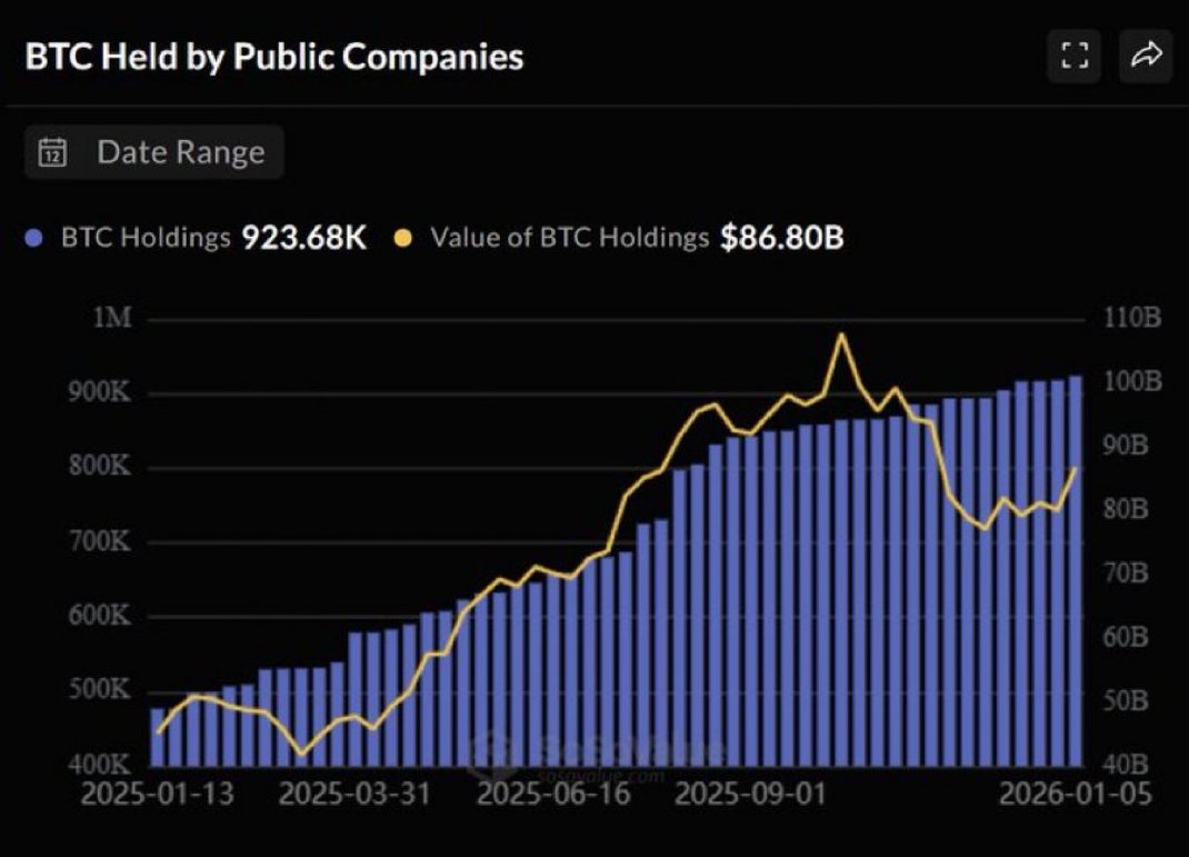 R13NUS's tweet photo. 🚨 Public companies now hold over 923,000 $BTC worth $86 billion. https://t.co/cRFmLibVds