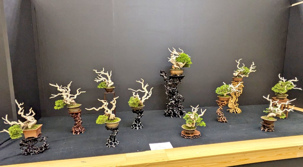 ゆう@つじいち (@tsujiichiyou83) / Posts / X