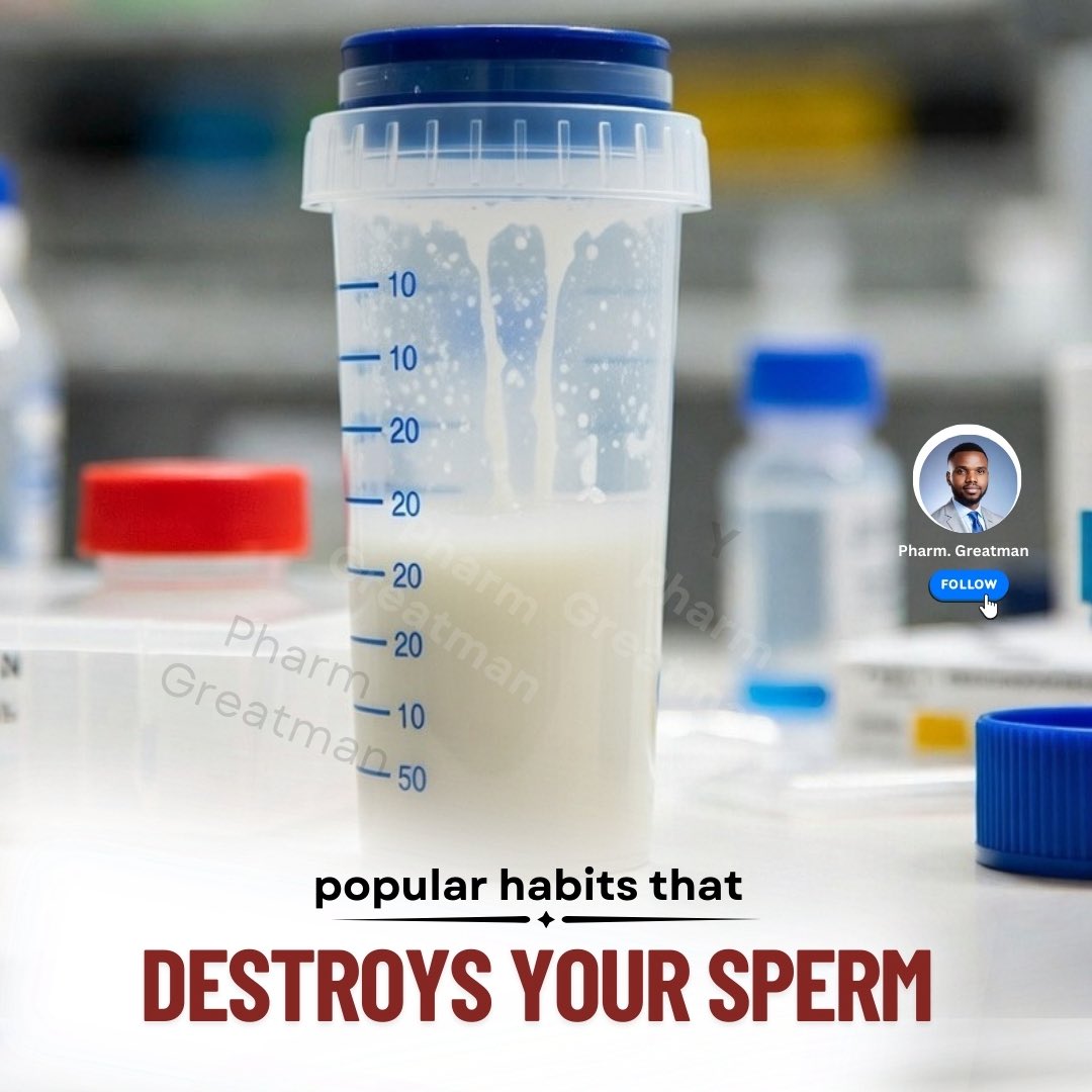 OGreat6's tweet photo. Brothers, gather here:

Many struggle with low sperm count, weak sperm, or infertility without knowing that their daily lifestyle is the real enemy. 

My bro, sperm is very sensitive. The way you live can either protect it or slowly destroy it.

Learn how in my comment below 👇🏾 https://t.co/moZLj9Lmy6
