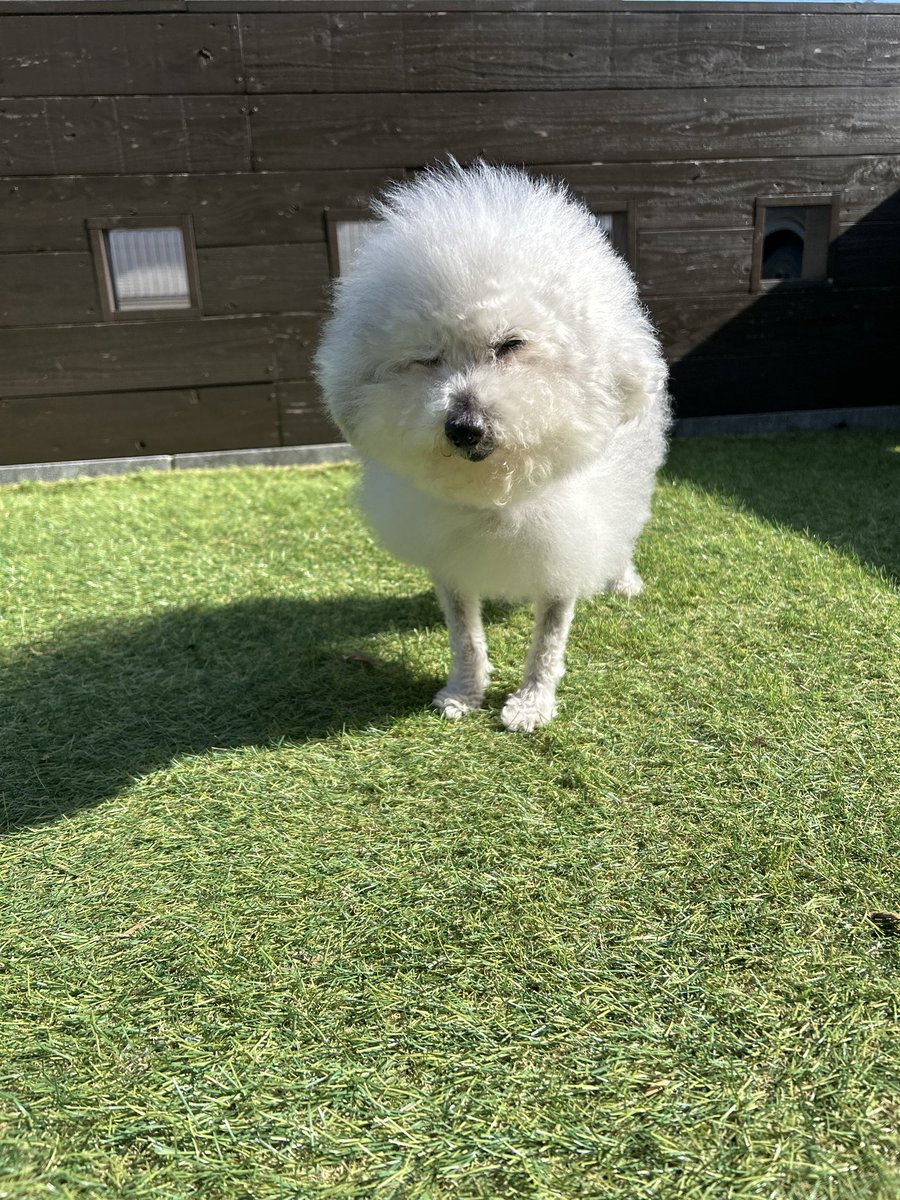 ハルくん (@9Z8lquSv8B3FMpN) / Posts / X