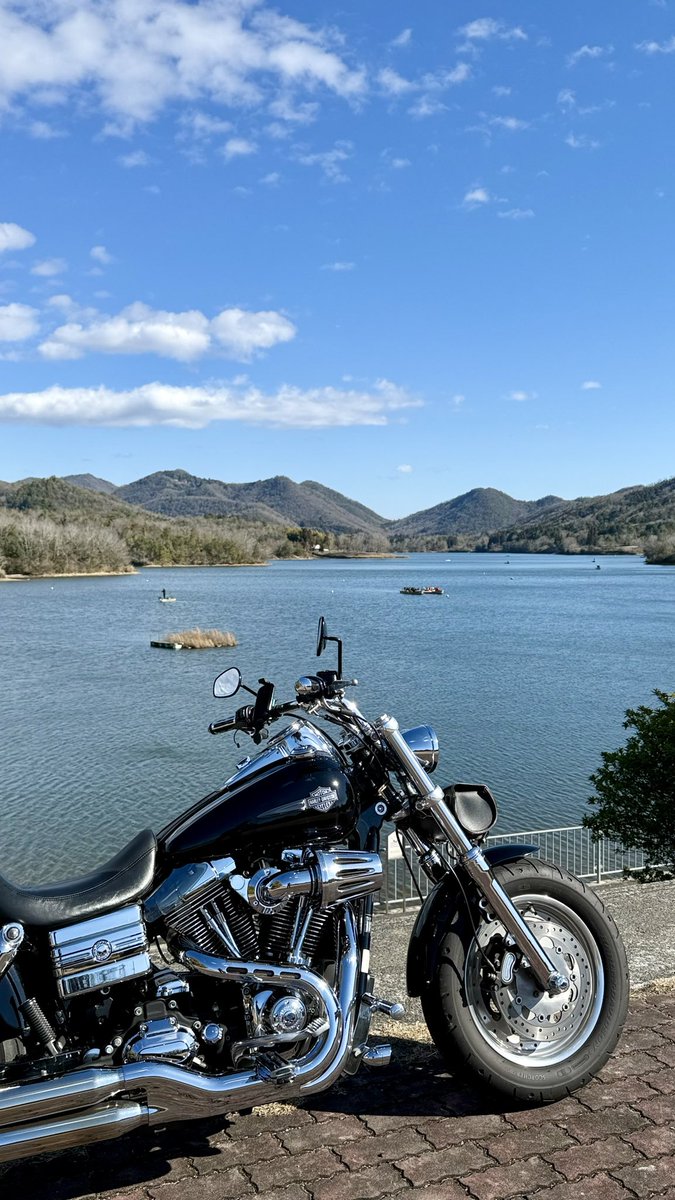 FXDF_FATBOB_BOB's tweet image. 朝から快晴！☀️
秋に人が押し寄せた場所も
この時期は誰もいない

一人でまったりするには
良い季節かも😌