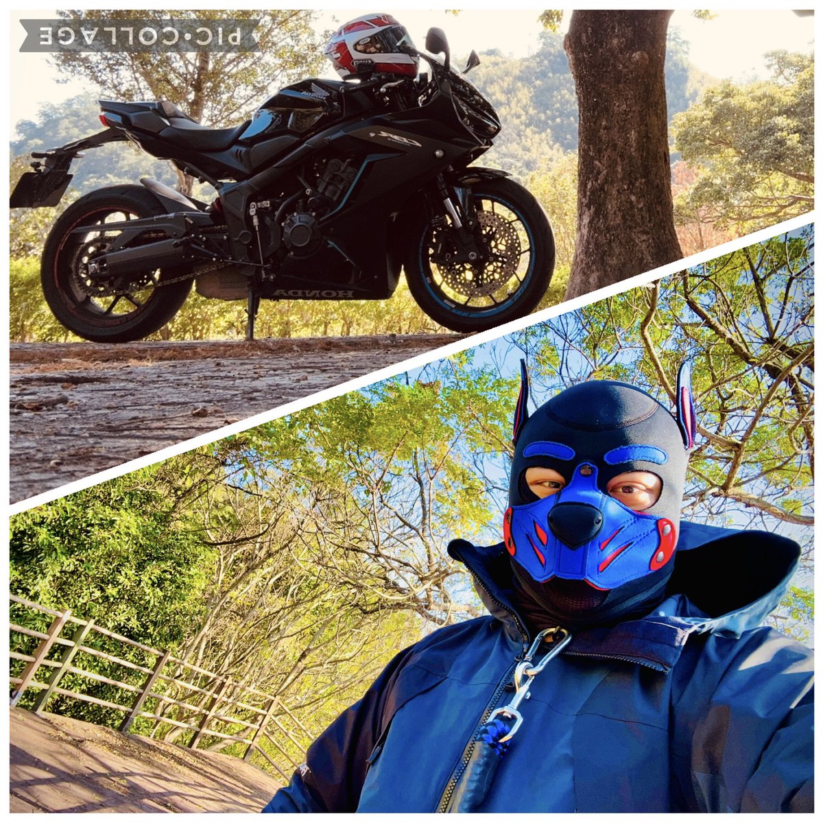 appliedforfun's tweet image. 寒流
穿上皮衣後還是冷的發抖🐕
外面再偷穿上男友的超大外套

希望感冒快點好喔！