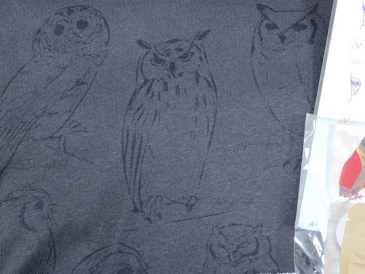 achu_Kochans's tweet image. 今年の福袋はフクロウさんのみ。フライパン欲しかったけど、スーパー寄る気力が出なかった…

渋めのロンＴと持ってないクッキー型が当たった。ラッキー♫
#ho-ho-
#奥ファブ福袋