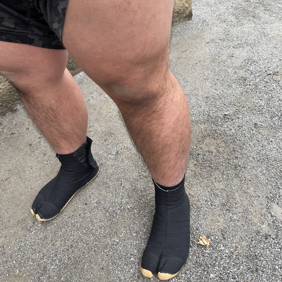 元自衛官🫡ティラノ伍長🦖 tweet media