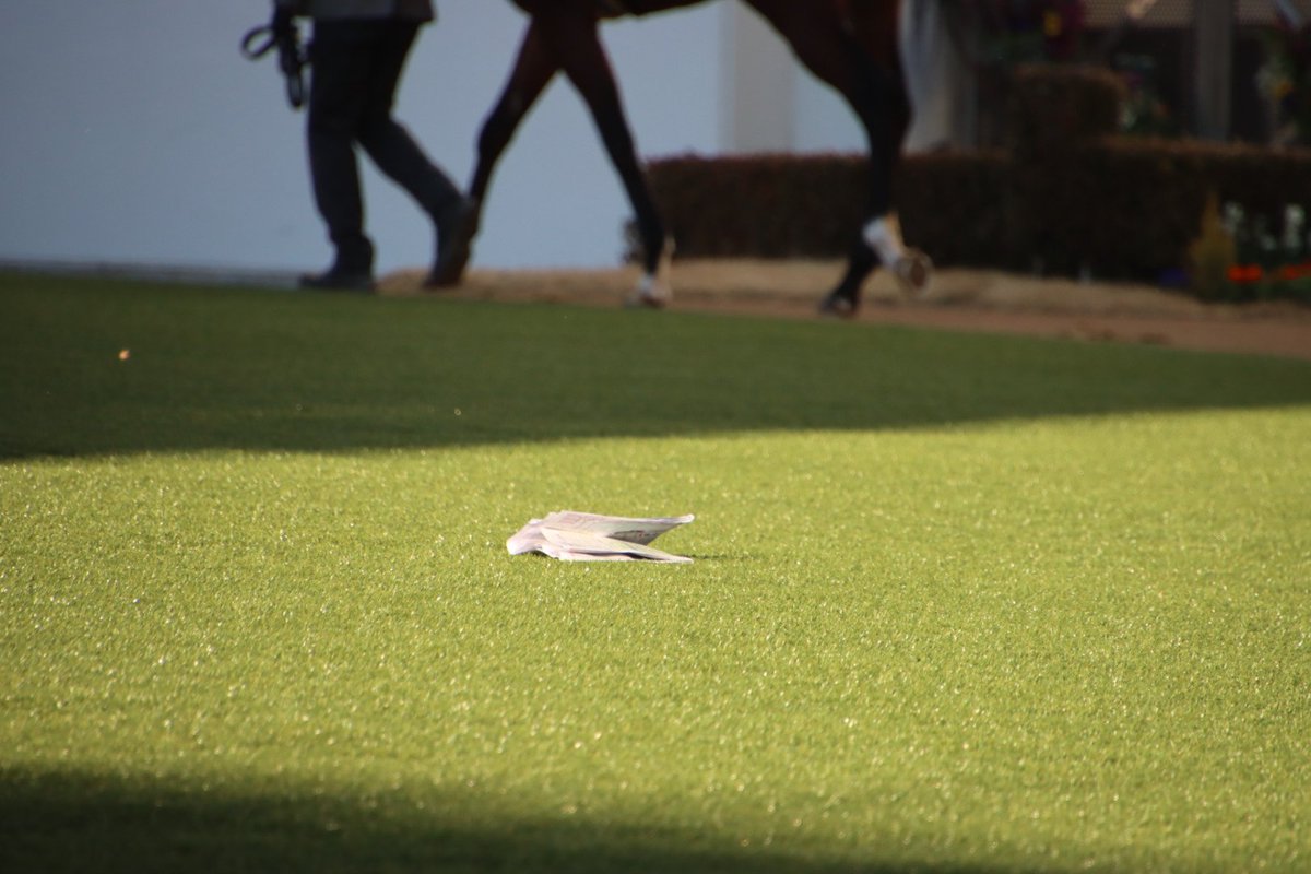 yuu_ka5963's tweet image. 中山競馬場
とんでもない強風です。新聞、マークシート、馬券、ゴミがパドックやコースの中に飛んできていて非常に危険です！
ゴミは建物内のゴミ箱へ。そして新聞やマークシートはしっかり持って離さないでください。席に放置などは絶対にしないでください🙇