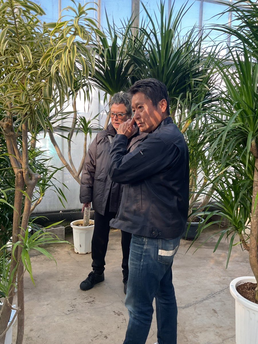 全く自分のスケジュールの都合で、先程、緑化園の須藤さんに連れてって