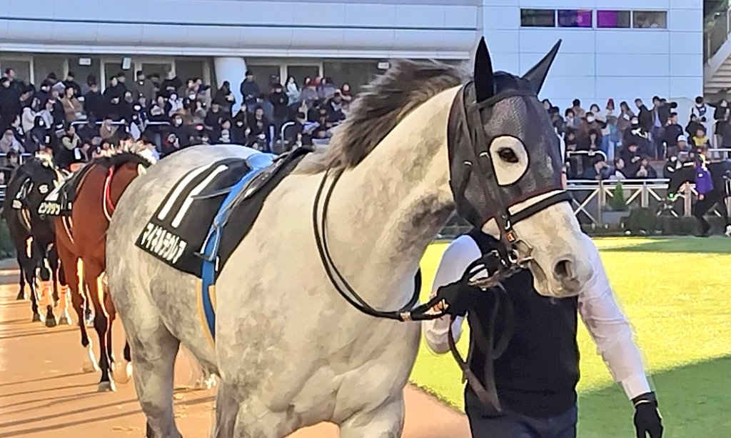 金船 (@0306mailbox) / Posts / X