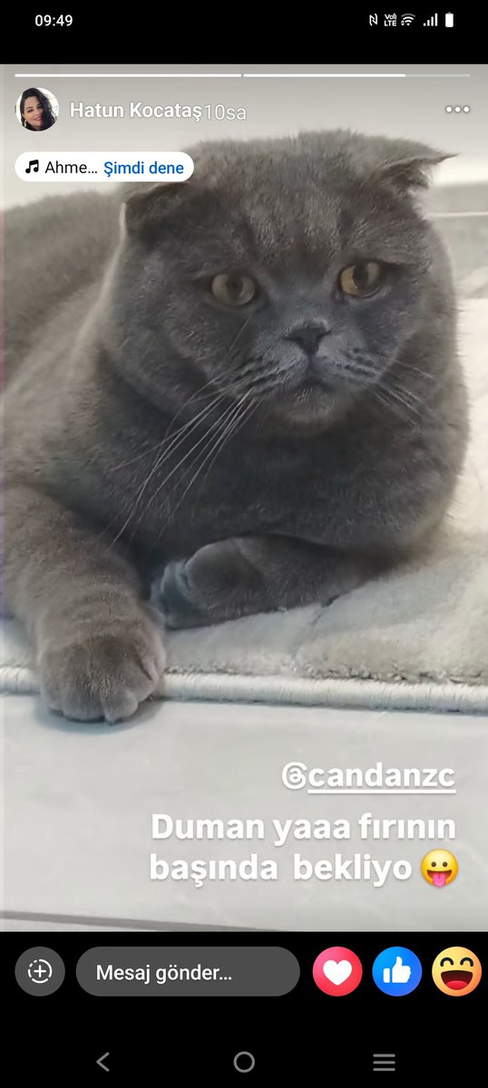 Sukriye Ciftci (@ciftcisukriye) on Twitter photo 