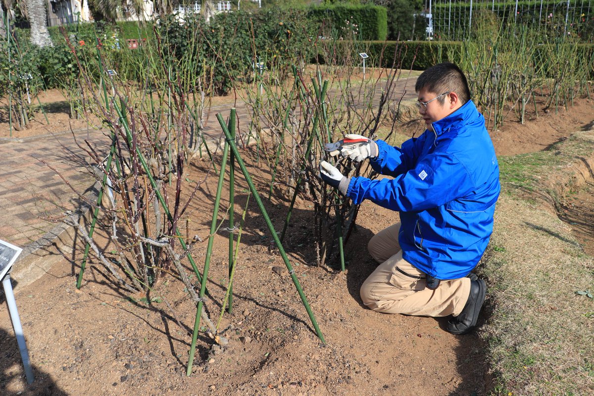 九十九島動植物園森きらら【公式】 (@morikirara99) / Posts / X