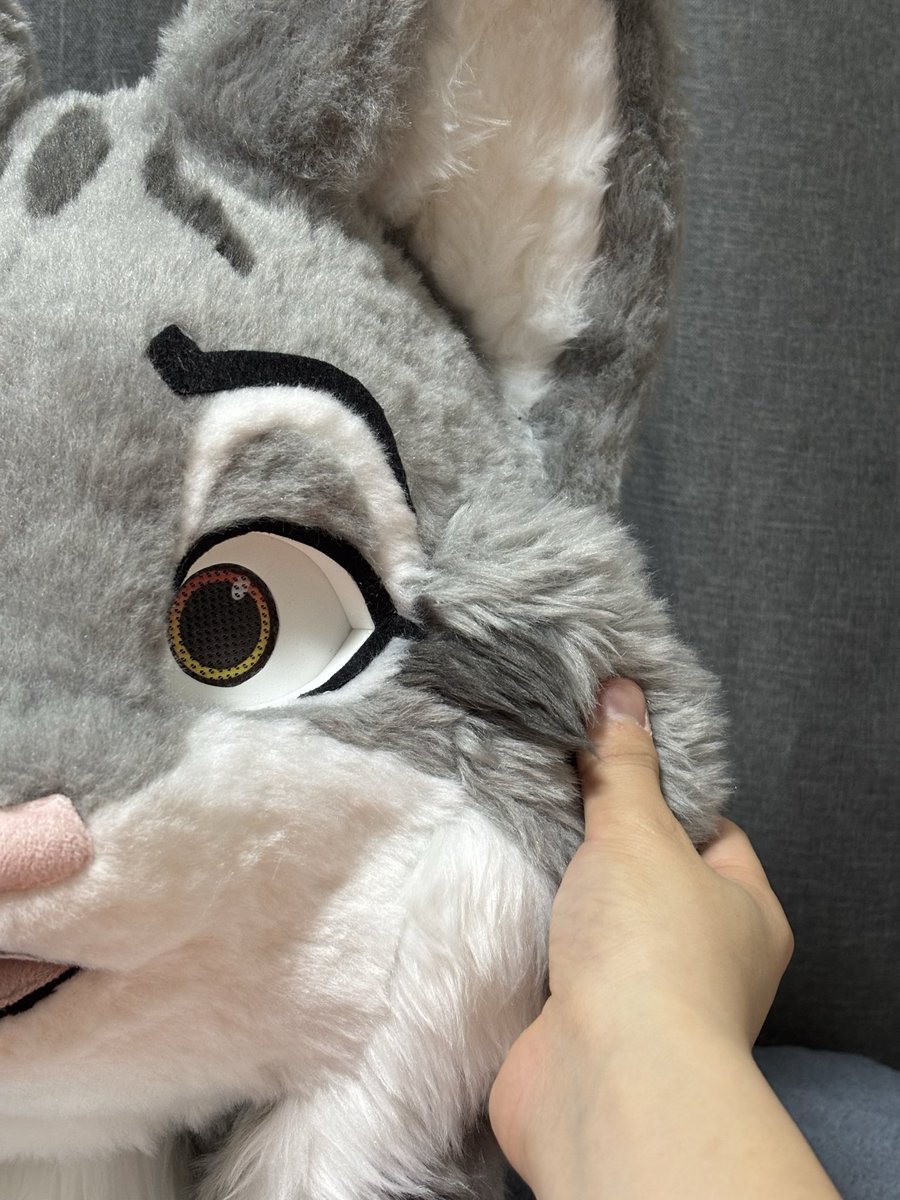 Studio Casty tweet media