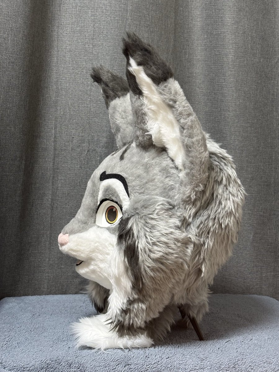 Studio Casty tweet media