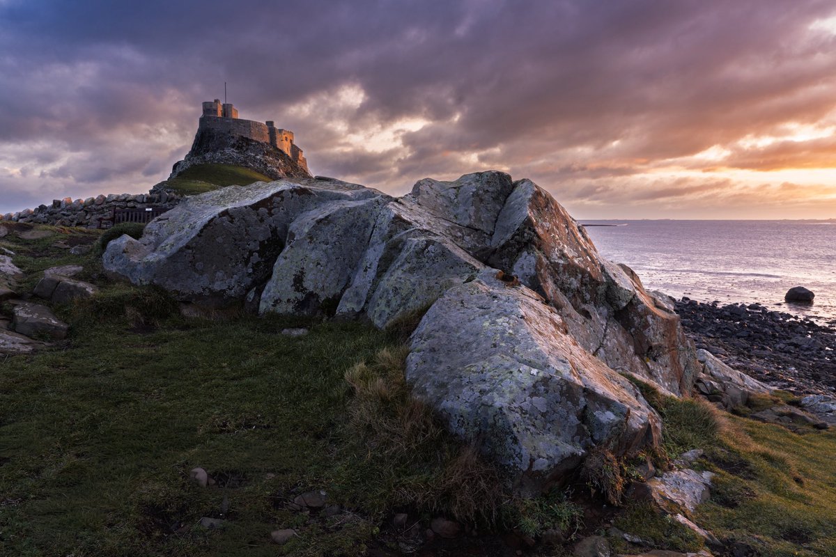 Jim Scott tweet media