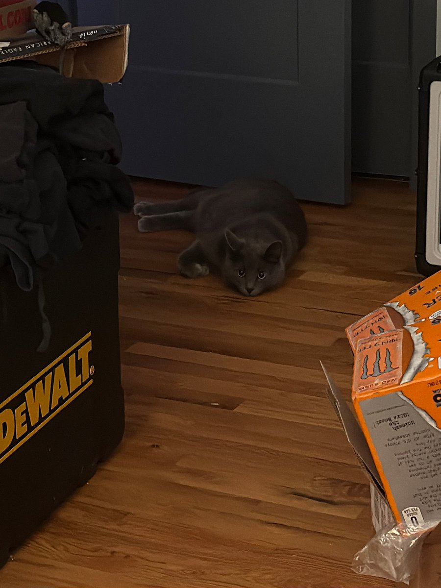 the face of love and adoration I love him so much 🥺