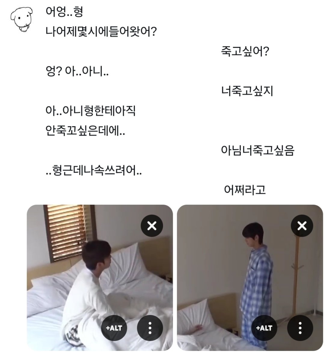 도미 tweet media