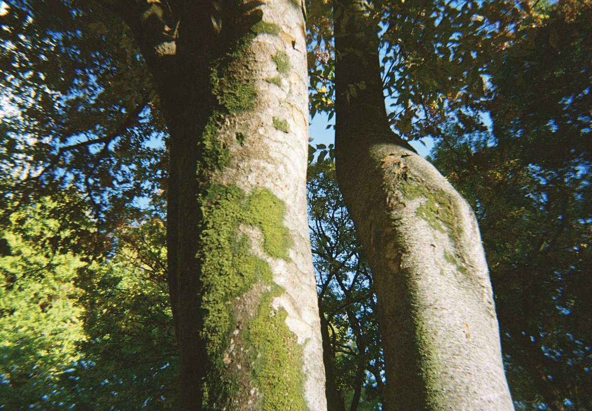 ・No.097 電話

・No.098 交差

・No.099 目印

・No.100 呼吸