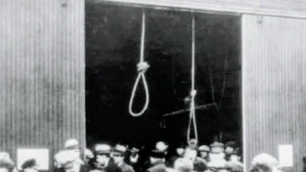 Lo Tractor Rosa tweet media