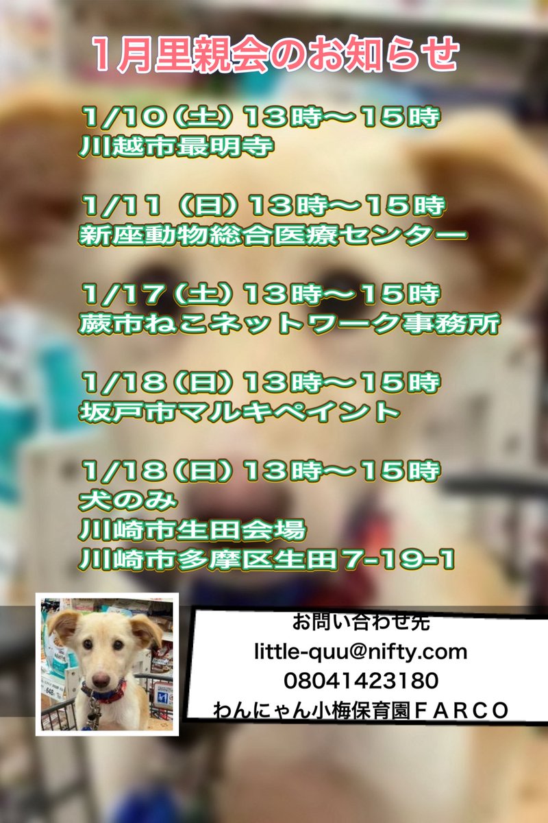 埼玉県＆神奈川県にて★1月里親会のお知らせ★みんなで運命の里親さんを待っています🥰

お問い合わせ先
little-quu@nifty.com
08041423180

わんにゃん小梅保育園
ＦＡＲＣＯ