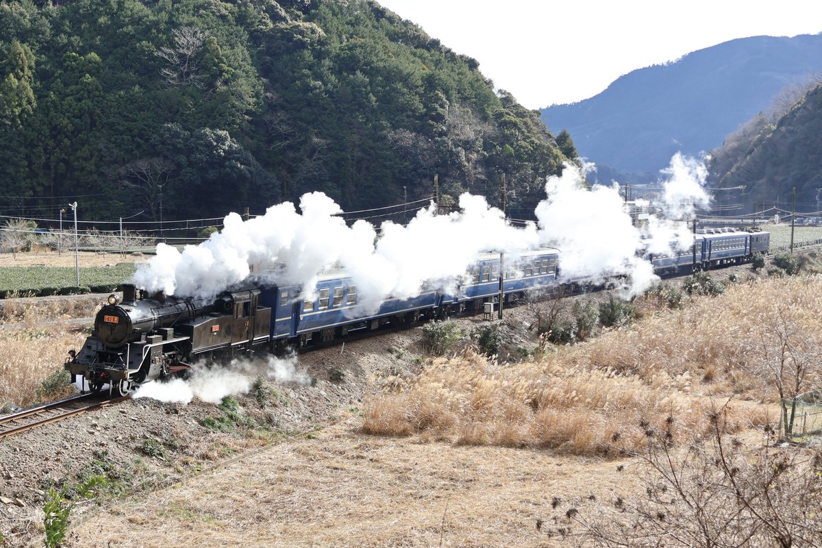 CT-5555 レ ザムルーズ 2012 ルーミエ モレサンドニ 2019 みーちゃん (@panoramacar7019) / Posts / X