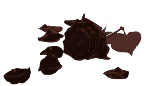 ㅤ
ㅤㅤㅤㅤㅤ𝕽𝑶𝑺𝑬𝑴𝑶𝑵𝑫
ㅤㅤ𝑻𝑯𝑬 𝕮𝑨𝑵𝑵𝑰𝑩𝑨𝑳 𝑶𝑽𝑬𝑹𝑳𝑶𝑹𝑫
ㅤㅤㅤ——————————
ㅤ
ㅤㅤㅤㅤㅤ𝓐𝒏 𝒉𝒐𝒏𝒆𝒔𝒕 𝒎𝒂𝒏,
ㅤㅤㅤ𝒂𝒍𝒘𝒂𝒚𝒔 𝒕𝒉𝒆𝒓𝒆 𝒕𝒐 𝒍𝒆𝒏𝒅 𝒂𝒏 𝒆𝒂𝒓