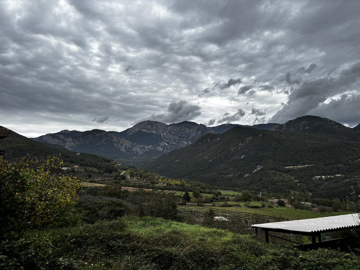 Mor lentament qui evita una passió i el seu remolí d'emocions, justament aquestes que tornen la lluentor als ulls i restauren els cors... (Pablo Neruda)