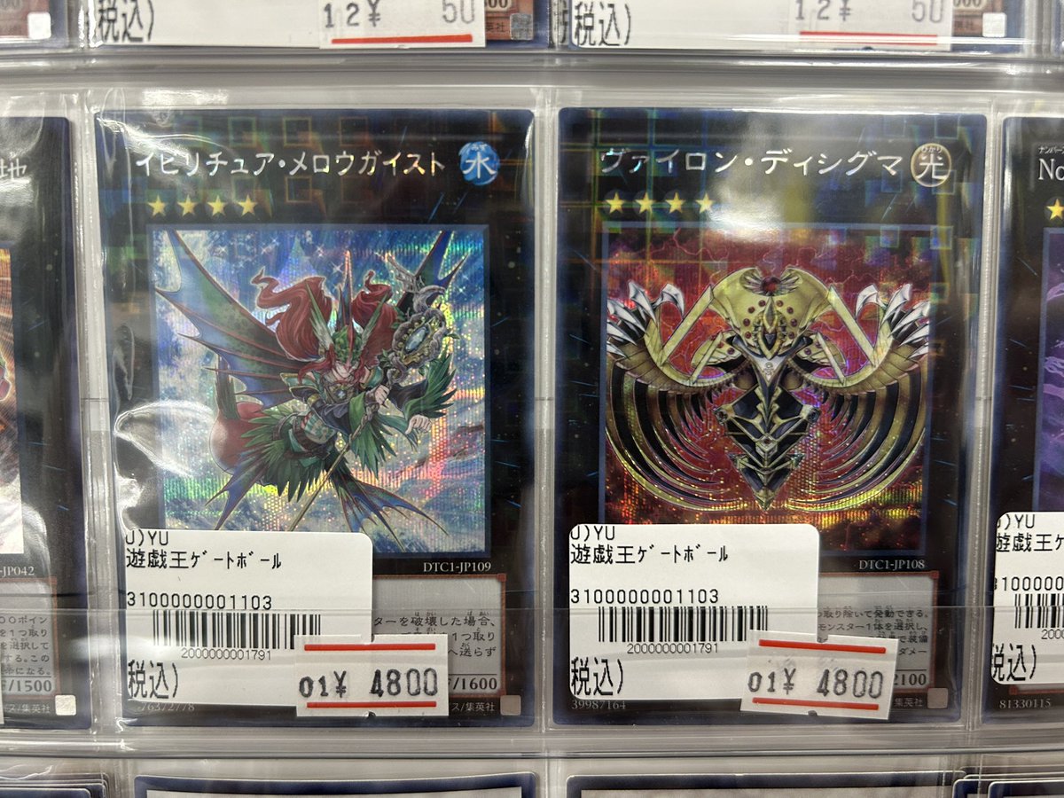 とんでもなく珍しいのが入荷しました！ イビリチュア・メロウガイスト