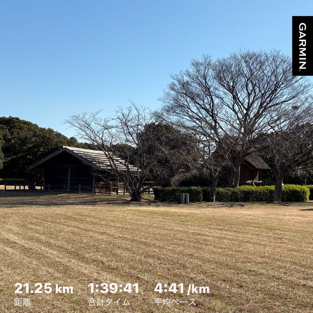 月下颯走 tweet media