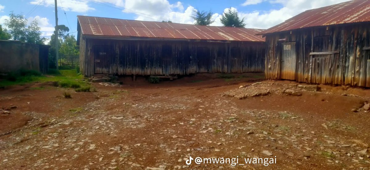 KaleNeyole's tweet photo. wiyumirire primary school,Laikipia East constituency, Laikipia county.current  MP fliess achopper https://t.co/39k4hhmoVc