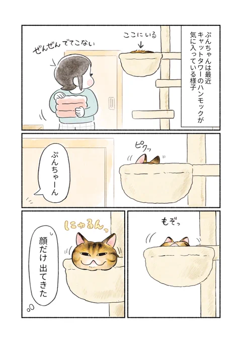 引きこもりネコ
(1/3) 
