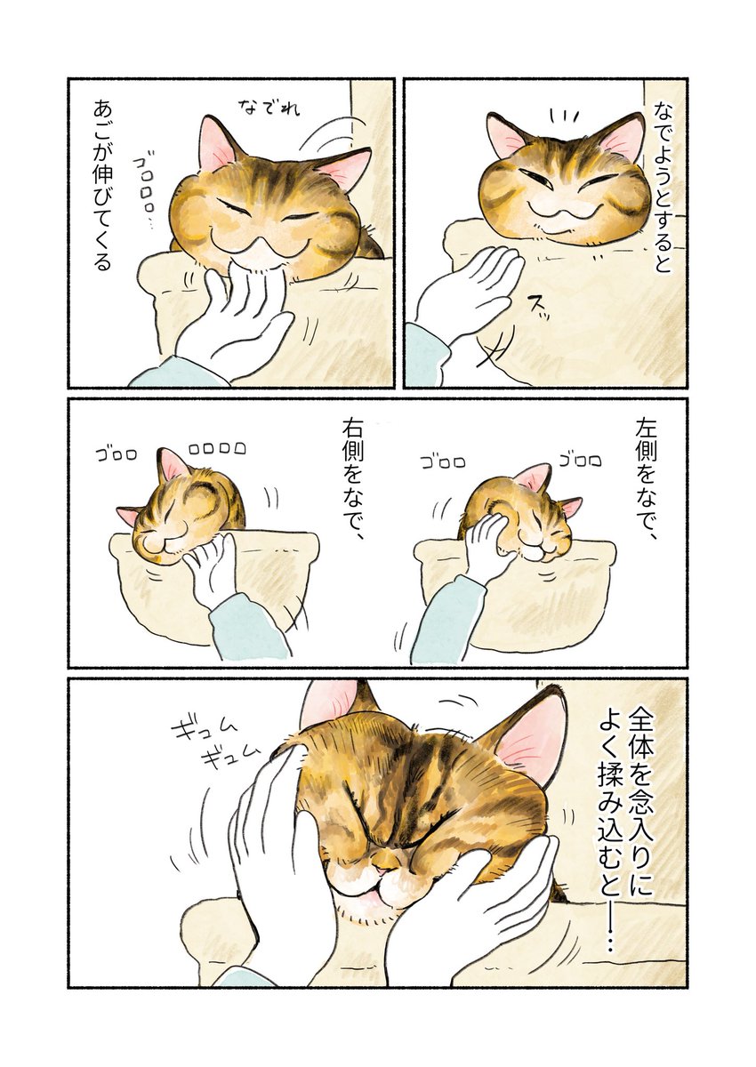 框(キョウ) (@86apricotton) / Posts / X