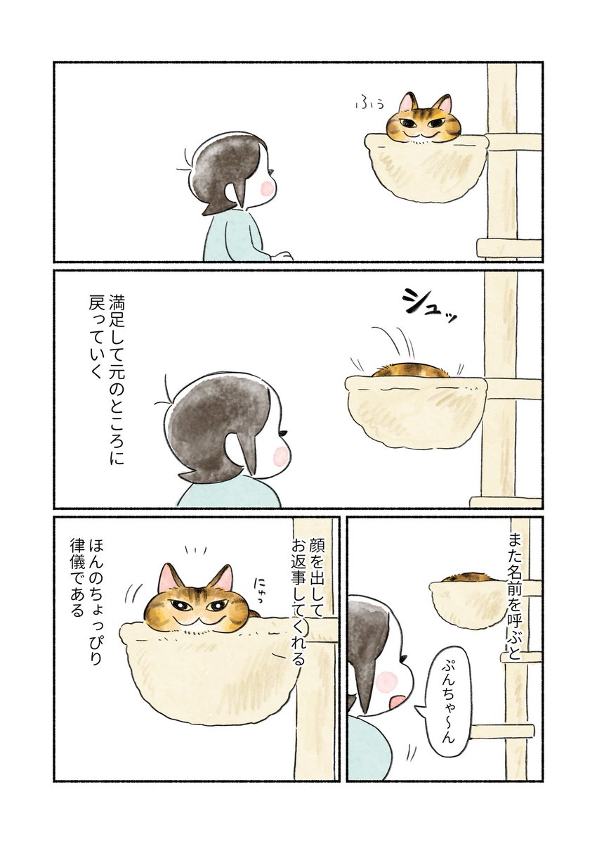 框(キョウ) (@86apricotton) / Posts / X