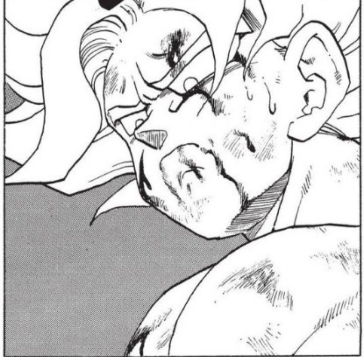 DBZdaily_'s tweet image. Manga / Anime