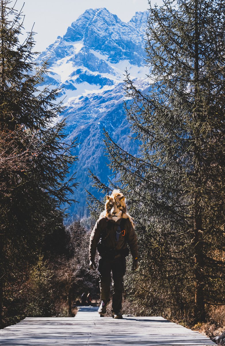 LLAMBERT97's tweet image. 群山之间
雪山之下
📷 @TheCIPF 
 #FursuitEveryday