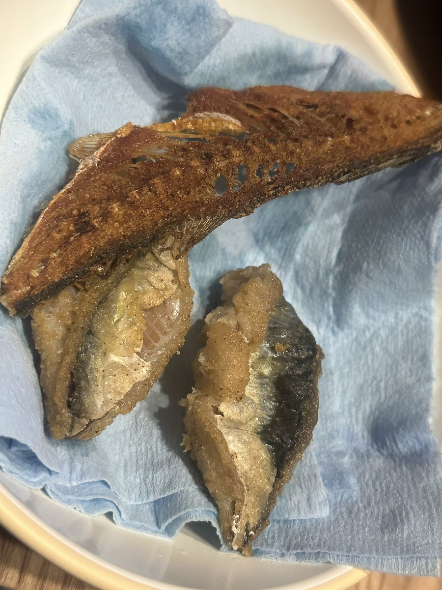 Mayu_StarLine's tweet photo. 昨日、家に帰ったら鯖飼ってたんですよ。名前は『鯖さん』とのことで、玄関に置いてたから、いつまで飼うんやろなーと思ったんですよ。気づいたら3枚に下ろされてたんですよ。
最終的に鯖タツタになってた。 https://t.co/kuhewHrHny